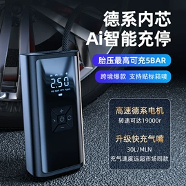 清洗/养护剂;汽车清洁工具;车载充气泵