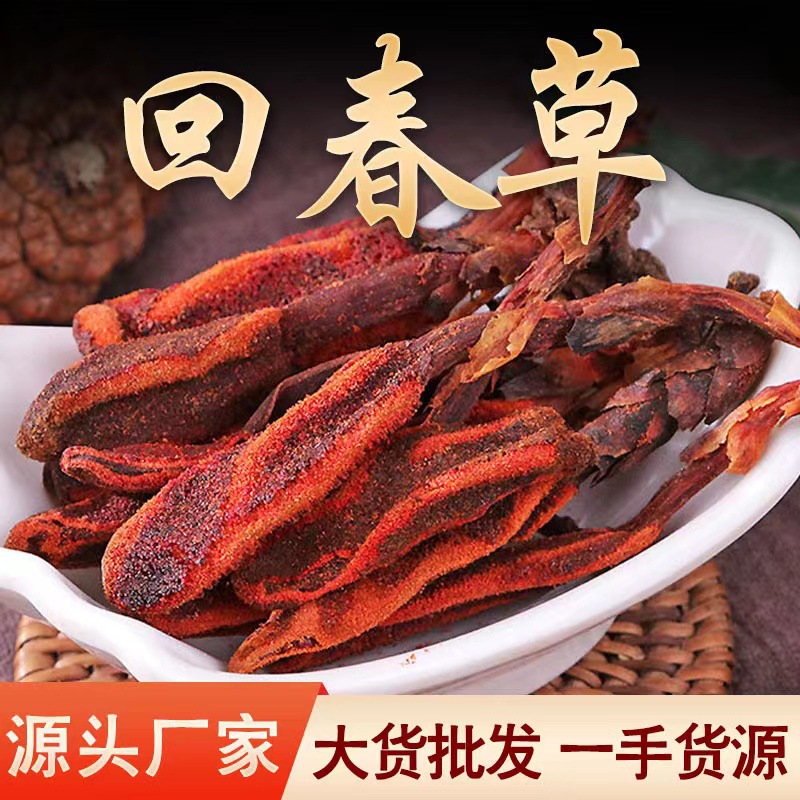 回春草中药材批发零售不老草 野生回春草产地直发 规格全一件代发