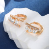 Jewelry, earrings, zirconium, suitable for import, European style