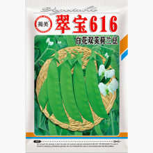 白花双荚荷兰豆种子 软荚豌豆种子 蔬菜种子中大荚型荷兰豆30克