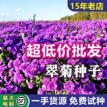 ��շN�ӻ�ɫ�ذ껨�ܷN���ļ����N�׻�ͥԺ�������^�������l