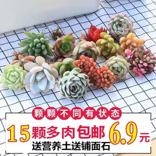 ���� ���x���� ����ֲ������3-30���؏���������M�ϻ��������҃�