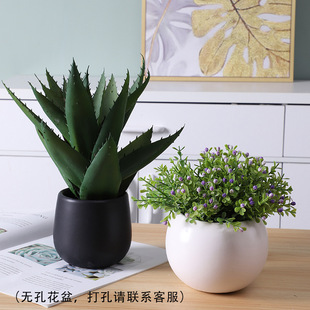 Modern Minimalist Ceramic Flower Pots for Home Decoration, Succulent Rose Potted Plants, Round Flower Pots, Direct Supply from the Manufacturer, Floral Arrangements, Green Plants
