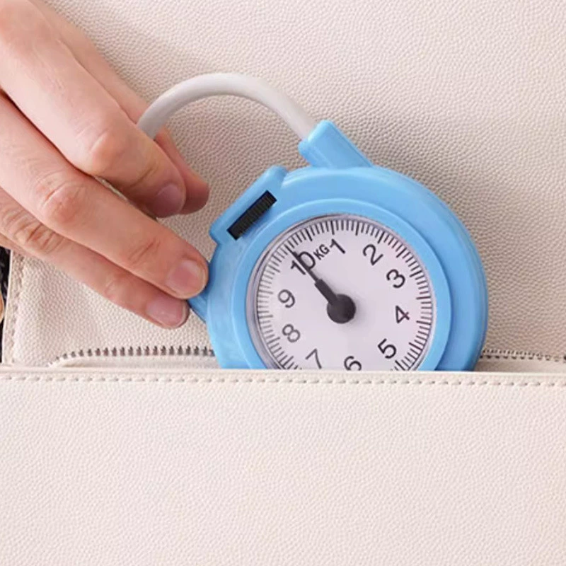 Spring scale Household portable multi -function pocket scales, small scale, buy vegetable scale mini courier scales, claim