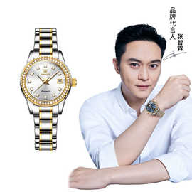 明星张智霖代言欧利时品牌镶钻表盘时尚简约夜光女士机械手表女表