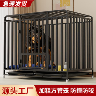 ���\�Ӵ���Ȯ����Ȯ�����������҃��⹷�\��ë������������\���C