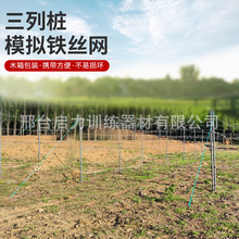 ģ�M���И��F�z�W  �ܰ���F�z�W ���ٹ����� ģ�M����