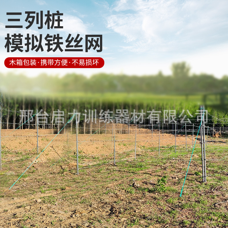 模拟三列桩铁丝网  塑包钢铁丝网 金属管立柱 模拟器材
