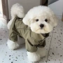 春秋新款宠物比熊冲锋衣