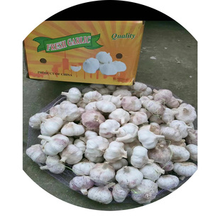 ����ɢ�b�a��ֱ�l���^�s������t��С�W���b���rɽ�|���r����