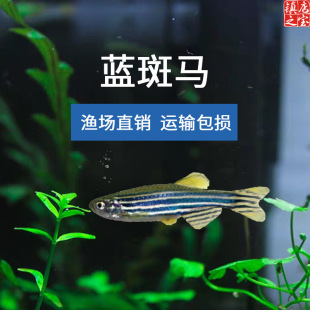 �@���R�~�����R�~Ƥ�����B��ˮ�\ݔ���p�^�p�~�O���������l