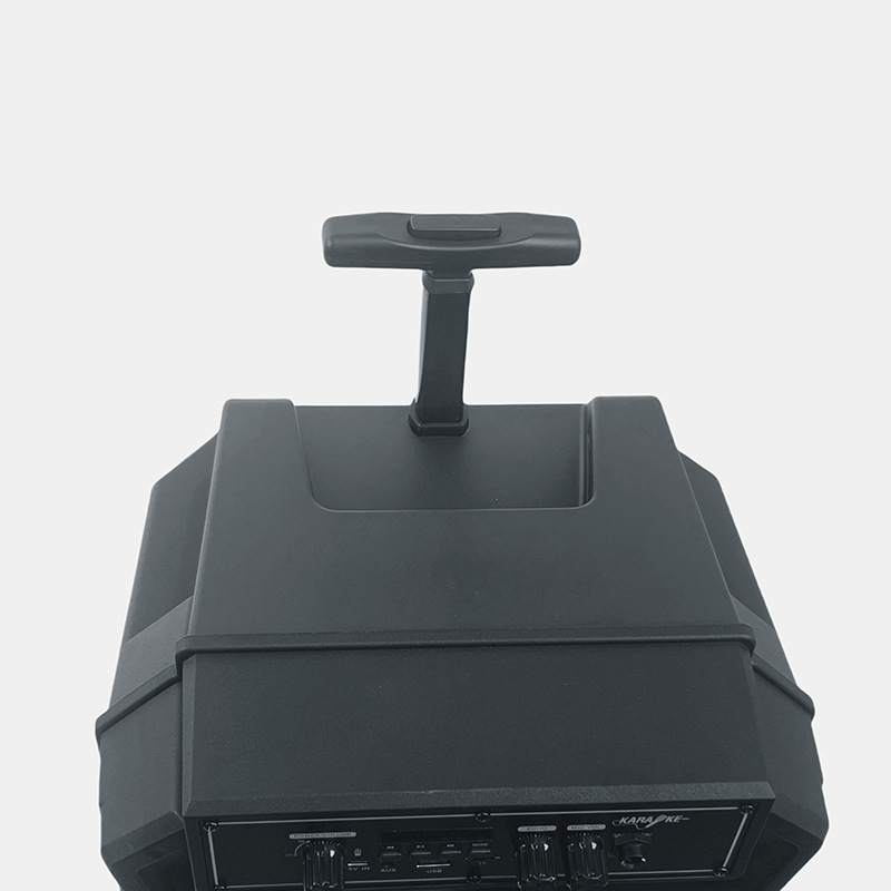 Fábrica directa de 12 pulgadas 20W altavoz inalámbrico reproductor Bluetooth con doble micrófono inalámbrico LED luz de atmósfera