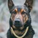 Cuban Chain Dog Collar Dog Metal Cat Chain Diamond Pet Jewelry Necklace Cat Dog Chain Collar Rhinestone Dog Tug