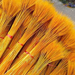 ��Ȼ�_�I���@�������l������ؔ����ɻ������S�����[���b�С��