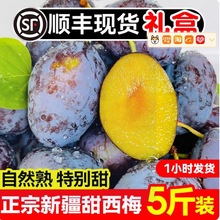 西梅包邮鲜果孕妇新疆礼盒喀什法兰西李子甜西梅新鲜水果二级