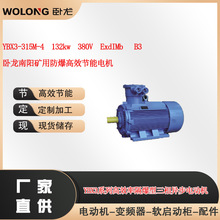 YBX3-315M-4  132kw  380V ExdIMb卧龙南阳矿用防爆高效节能电机