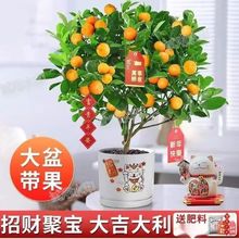 ����ֱ�l�������Դ��۴�Ƥ��ۘ����҃������ļ������ʳ��