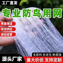 果园大棚加粗尼龙网果树稻谷樱桃葡萄梨树草莓防鸟网鱼塘养殖天网