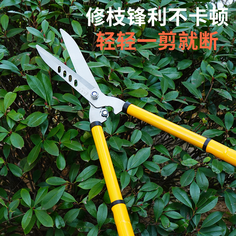 Tijeras de setos, tijeras de podar, tijeras de flores de jardín, tijeras de jardinería, tijeras de podar de árboles frutales, tijeras potentes, tijeras de jardinería multifuncionales