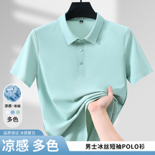 2026���ļ��¿�polo�������޺�˿��������ʿ�����̱�˿������T��