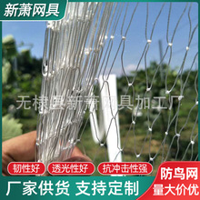 厂家批发涤纶合股防鸟网 池塘养殖防鸟网果园种植防护网4股防鸟网
