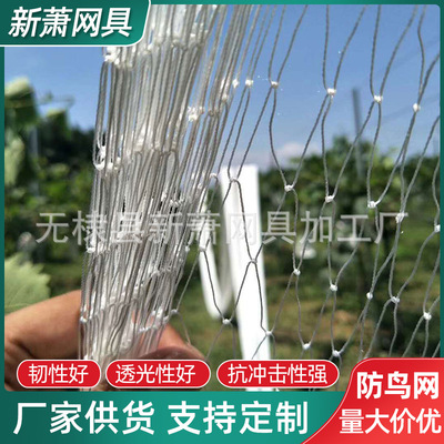 customized grape Anti-bird netting Orchard Polyester fiber Multifilament Anti-bird netting Nylon protective net Fishpond bird net