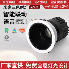 中山照明フルスペクトル Tmall スマートスポットライトホーム埋め込みヒルアイ保護アンチグレアチューブウォッシュウォールライト