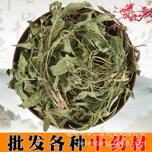 ���l�F؛ �ϻ��ض� ������ ���^�� �ض� ���l�F؛ һ�����l