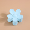 Plastic matte crab pin, hairgrip, set, shark, suitable for import, new collection, simple and elegant design