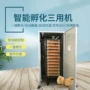 自动大型农场养殖孵蛋机