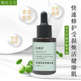 跨境贴牌定制积雪草精华液敏感肌烟酰胺面部精华OEM化妆品