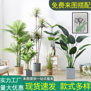 WLGֲͿ͏dԷֲؔ[辰˽ֲ