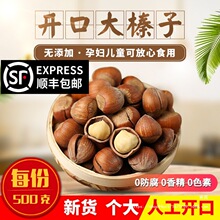 新货东北特产开口大榛子 薄皮原味铁岭干果炒货坚果零食500g包邮