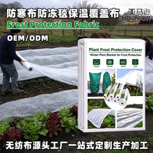 跨境供应PP纺粘无纺布 白色防寒布保温防霜冻 育苗园艺覆盖防冻毯