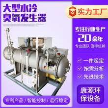 污水处理臭氧机 大型工业水处理用臭氧发生器 养殖化工臭氧发生器