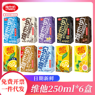 Vita lemon tea chrysanthemum tea multi-flavor soy milk his milk beverage soy milk 250ml * 6 boxes wholesale