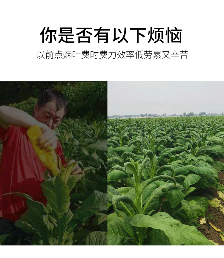 详情页_03.gif