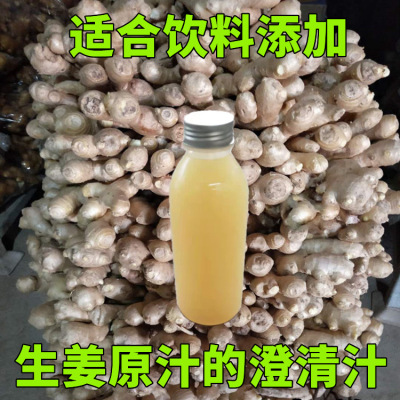 厂家批发生姜汁澄清汁250ml老姜原汁澄清汁适合调制饮料添加无渣|ms