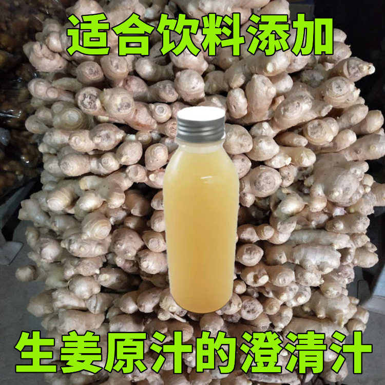 厂家批发生姜汁澄清汁250ml老姜原汁澄清汁适合调制饮料添加无渣|ms