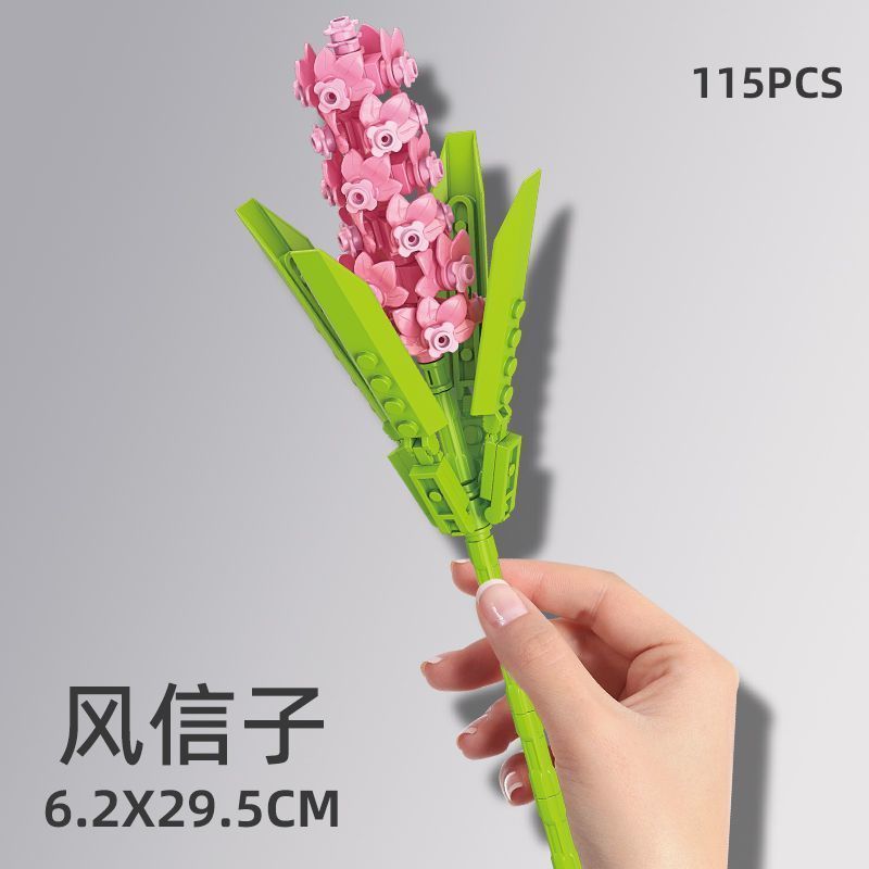 风信子（袋装）