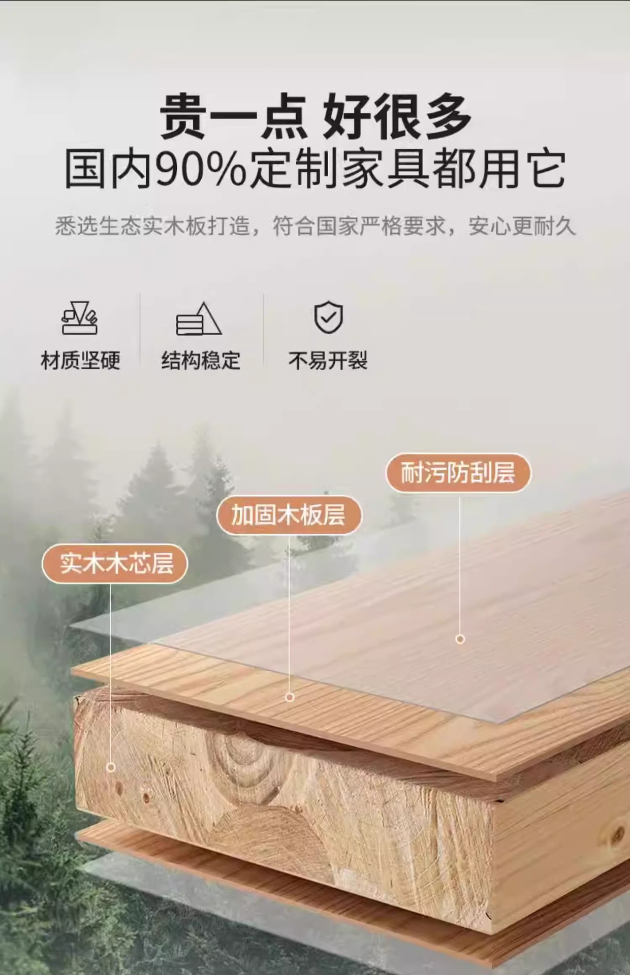 复制_2024新款楼道鞋柜家用门口室内入户玄关.jpg