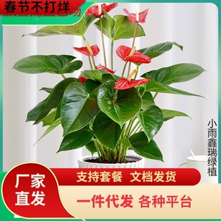 һ�����l�t�Ʒ��ư�������ֲ���҃��ļ����������ˮ�����������~