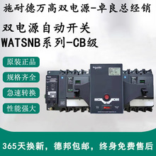 ʩ/͵fWATSNBpԴԄDQ_P100A/4P/32A/63A/250/630A