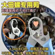 ���ݼ�����·��呴��ݽz�Qȥβ�Q��ʳƷ���N������б���Q��β�ͱ�