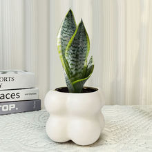 ��߅��Ƥ�m���Զ����҃ȃ����՚�ֲ���k�����ļ������ͺ����B