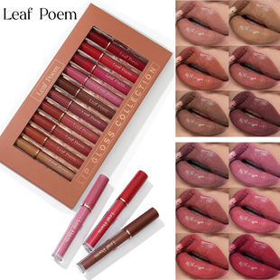 �羳LEAF P0EM 12֧�������b �־��̝����Ա������洽�ʶY�����b