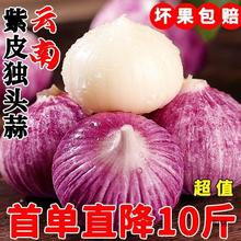 现挖2024云南独头蒜新鲜大蒜头紫皮独蒜湿红皮新干蒜5斤蔬菜批发