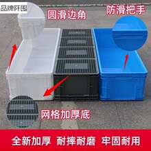 养鱼水箱长方形塑料加厚牛筋养龟养殖水产专用超大容量家用蓄水箱