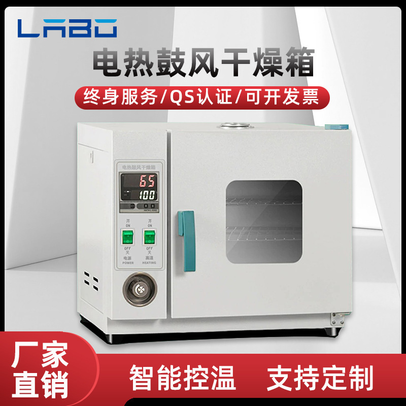 Electric blast drying oven high temperature heating small industrial oven constant temperature dryer laboratory oven manufacturer
