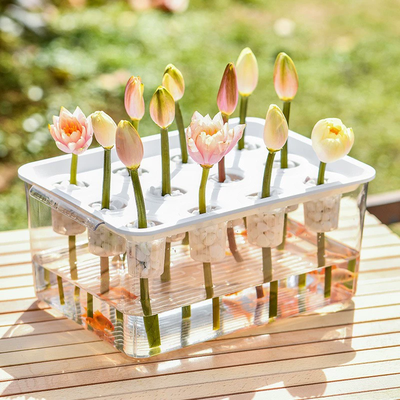 Новый аквариум для золотых рыбок для гостиной с крышкой для посадки водных растений, небольшой аквариум, пластиковый экологический аквариум для золотых рыбок с защитой от падения